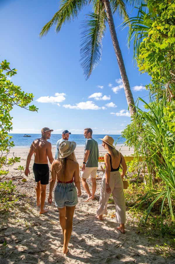 Cape Tribulation Ocean Safari - Great Barrier Reef Adventure - Key points at a glance