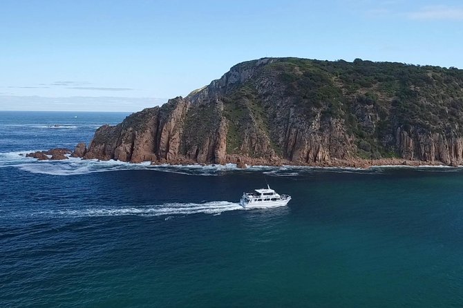 Cape Woolamai Sightseeing Cruise from San Remo - Watching for seals, seabirds and dolphins