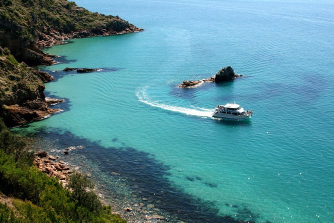 Cape Woolamai Sightseeing Cruise from San Remo - Tea, coffee and cake on the return