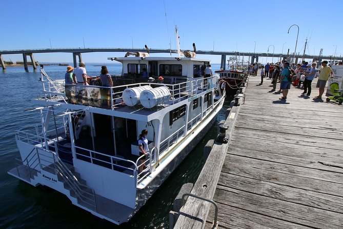 Cape Woolamai Sightseeing Cruise from San Remo - Who should book this cruise?