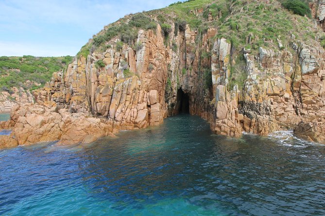 Cape Woolamai Sightseeing Cruise from San Remo - Practical details before you go