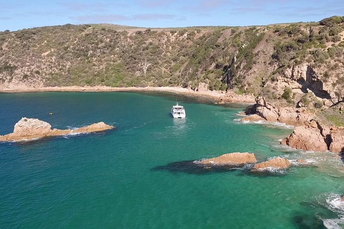 Cape Woolamai Sightseeing Cruise from San Remo - Along the coast toward Cape Woolamai