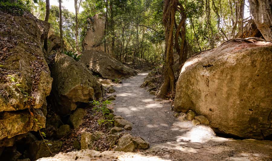 Capricorn Caves, Australia: 45-Minute Cathedral Cave Tour - Following the zig-zag passage underground