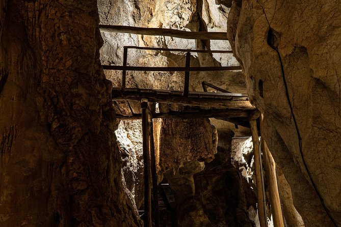 Capricorn Caves Cathedral Cave Tour - A practical choice for families and mixed abilities
