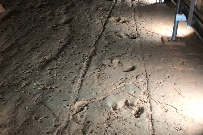 Carisbrooke Station and Dinosaur Stampede Day Tour from Winton - Why the dinosaur stampede is the main event
