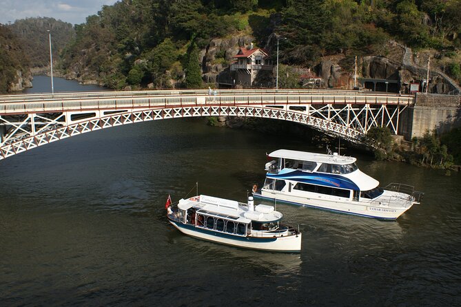 Cataract Gorge Cruise 11:30 am - Entering Cataract Gorge on silent electric power