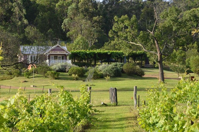 Chef-Led Hunter Valley Gourmet Food and Wine Day Tour from Sydney - The Sydney Fish Market sets the tone