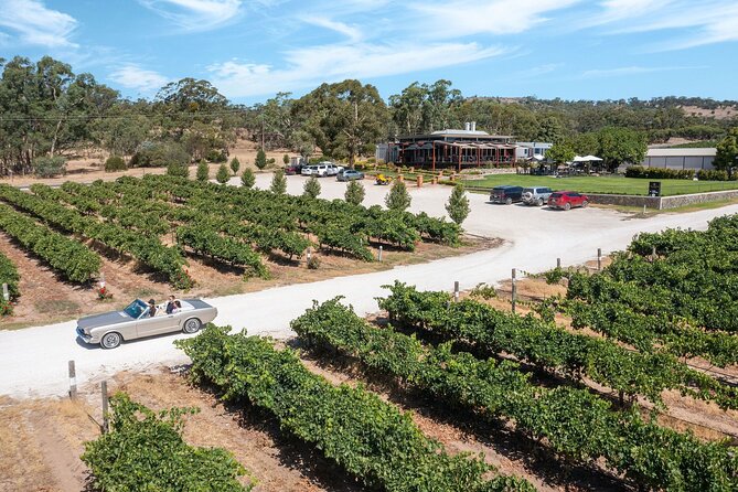 Classic Mustang Convertible Barossa Valley Half Day Private Tour For 2 - Who will enjoy this tour most