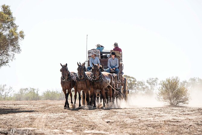 Cobb & Co Stagecoach Experience in Longreach - Following the Longreach-Windorah mail route by coach