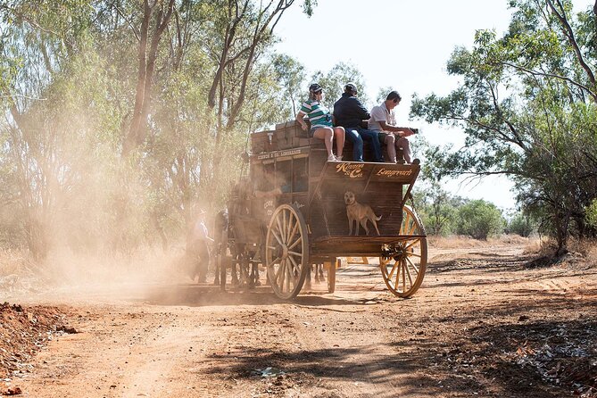 Cobb & Co Stagecoach Experience in Longreach - What the four-hour format means for your day