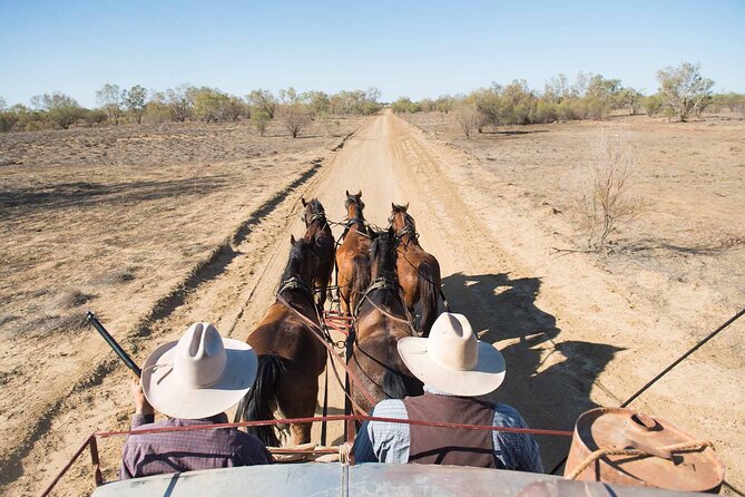 Cobb & Co Stagecoach Experience in Longreach - Who should book this Longreach experience?