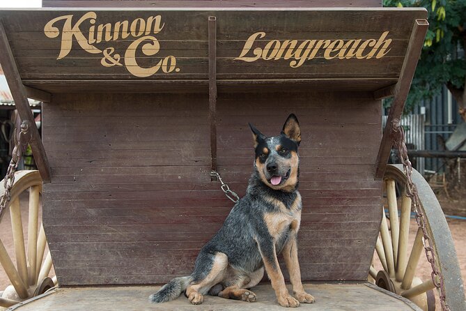 Cobb & Co Stagecoach Experience in Longreach - Practical details for a smoother ride
