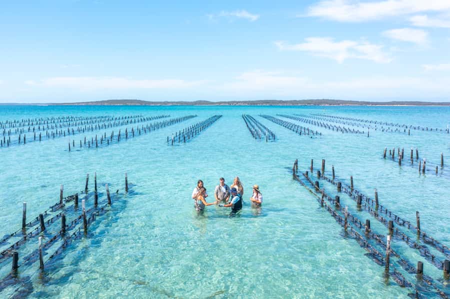 Coffin Bay: Oyster Farm Boat Tour with Wading & 12 Oysters - Why this Coffin Bay tour is more than an oyster tasting