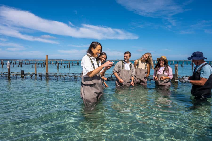 Coffin Bay: Oyster Farm Boat Tour with Wading & 12 Oysters - Should you book the Coffin Bay oyster farm tour?