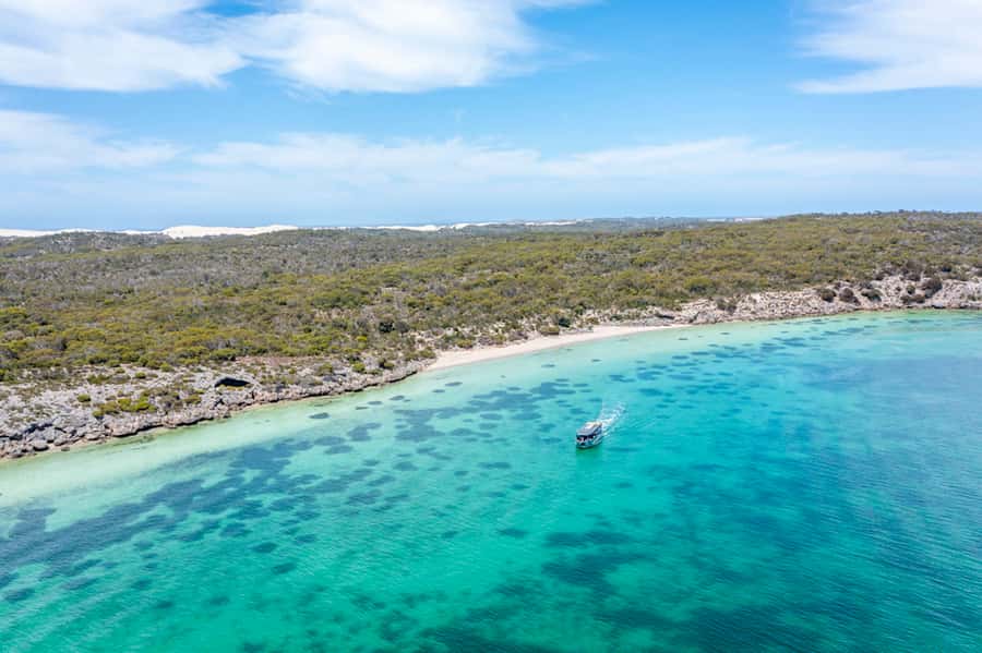 Coffin Bay: Oyster Farm Boat Tour with Wading & 12 Oysters - Wading among the oyster leases