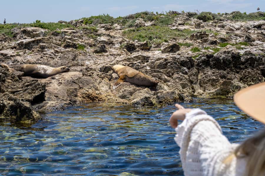 Coffin Bay: Oyster Farm Boat Tour with Wading & 12 Oysters - Fresh oysters, local food, and a shucking lesson