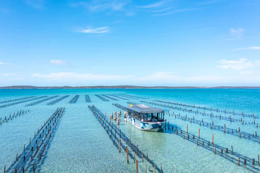 Coffin Bay: Oyster Farm Boat Tour with Wading & 12 Oysters - The 16-kilometre cruise across Coffin Bay