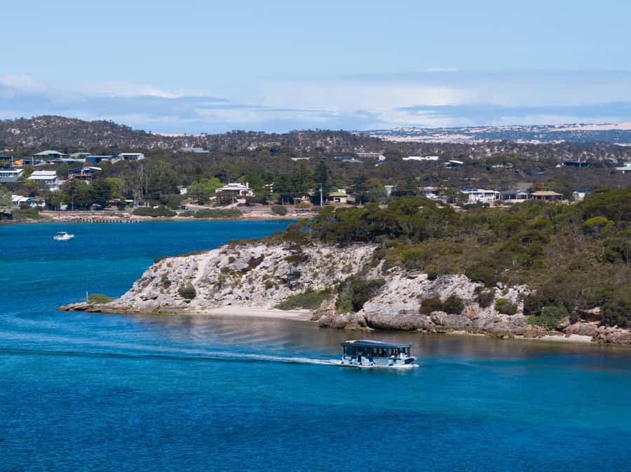 Coffin Bay: Short and Sweet Oyster Farm Tour - Six fresh oysters and optional local drinks