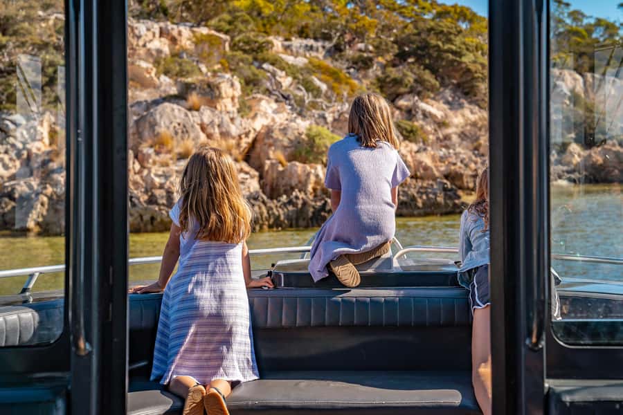 Coffin Bay: Short and Sweet Oyster Farm Tour - The Angasi oyster reef restoration program