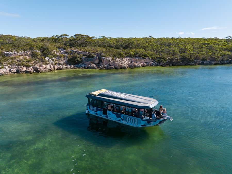 Coffin Bay: Short and Sweet Oyster Farm Tour - What you learn from the oyster farmer