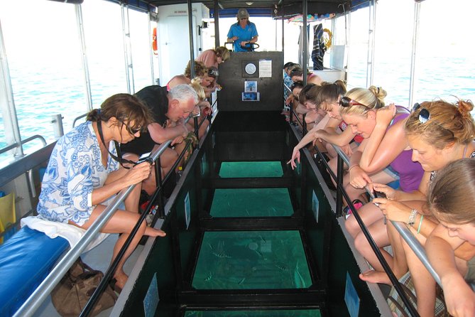 Coral Bay 1-Hour Coral Viewing - Key points to know before you book
