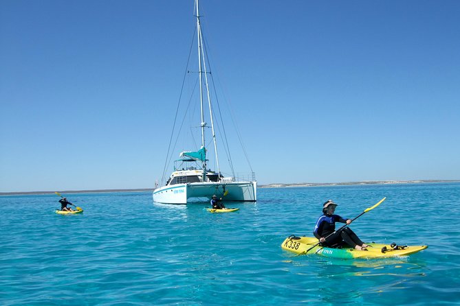 Coral Bay 2-Hour Coral Viewing and Snorkeling - Who will enjoy this Coral Bay outing most