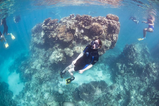 Coral Bay 2-Hour Coral Viewing and Snorkeling - Should you book the two-hour reef tour?