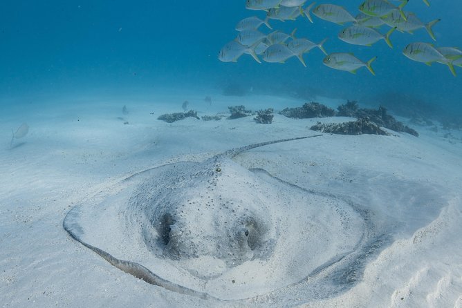 Coral Bay 3-Hour Turtle Ecotour - Cancellation and weather planning