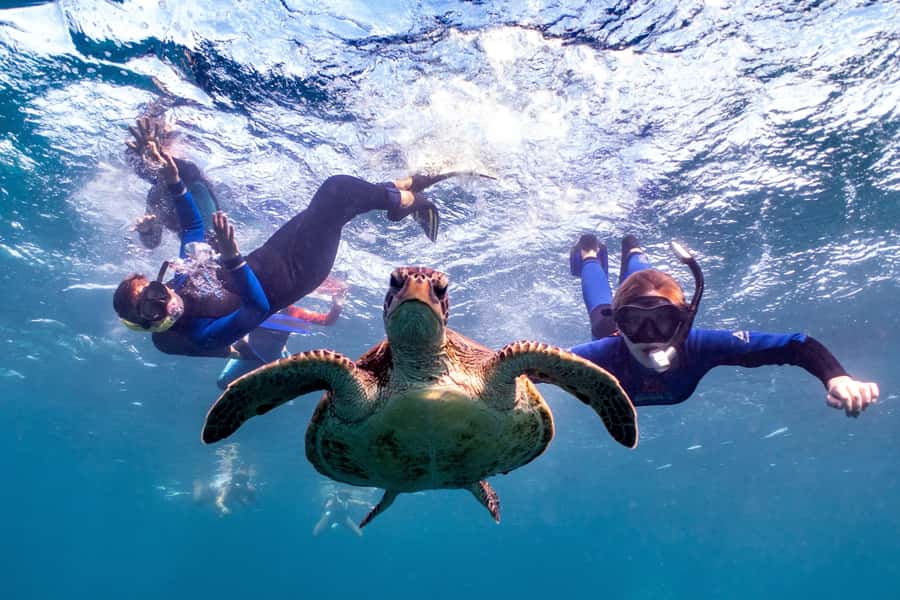 Coral Bay: Marine Eco Safari - Swim With Manta Rays - Why the manta rays are only part of the story
