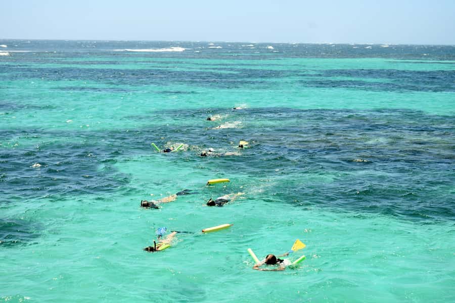 Coral Bay: Ningaloo Reef 3-Hour Turtle Ecotour - Key points to know before booking