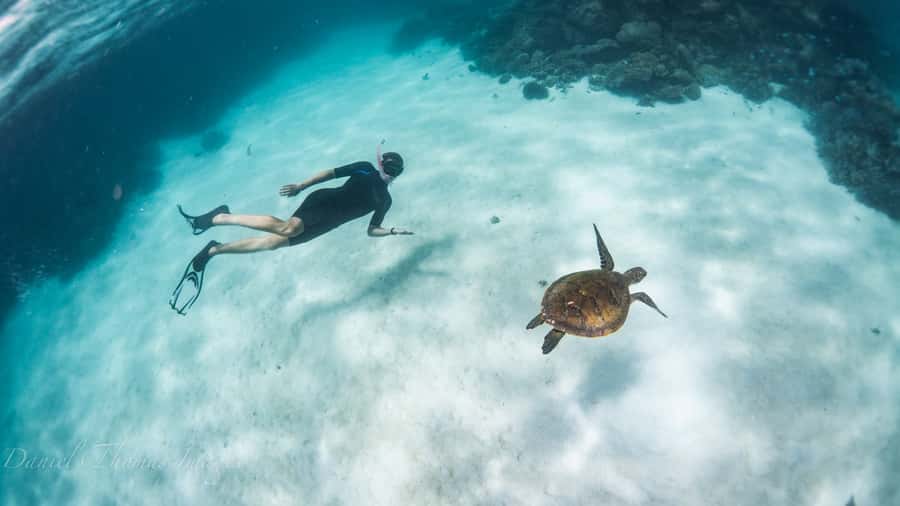 Coral Bay: Ningaloo Reef 3-Hour Turtle Ecotour - A glass-bottom start over Ningaloo Reef