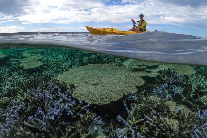 Coral By Kayak - Ningaloo Reef Half Day Kayak & Snorkel Tour - Seasonal timing changes the feel of the morning