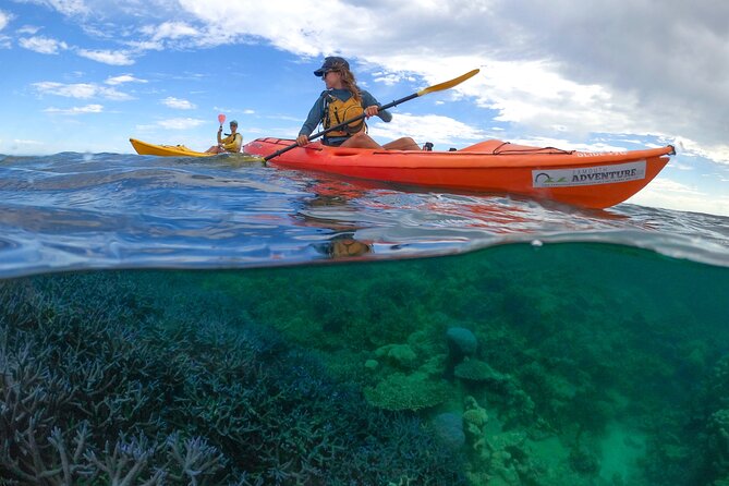 Coral By Kayak - Ningaloo Reef Half Day Kayak & Snorkel Tour - Is $118.35 a fair price?