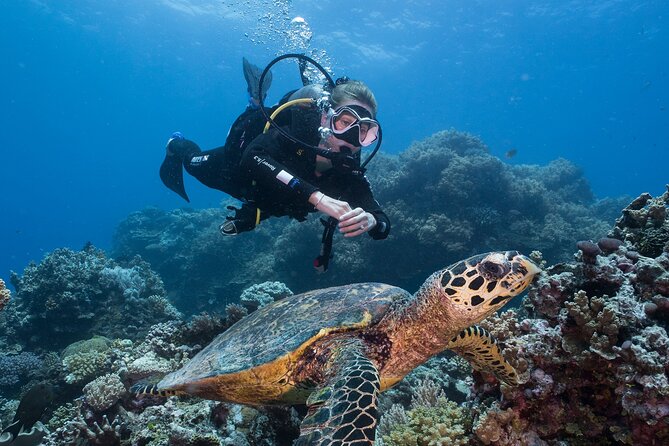 Coral Sea Dreaming Overnight Dive, Snorkel and Sail - Why a 12-person boat changes the Great Barrier Reef experience