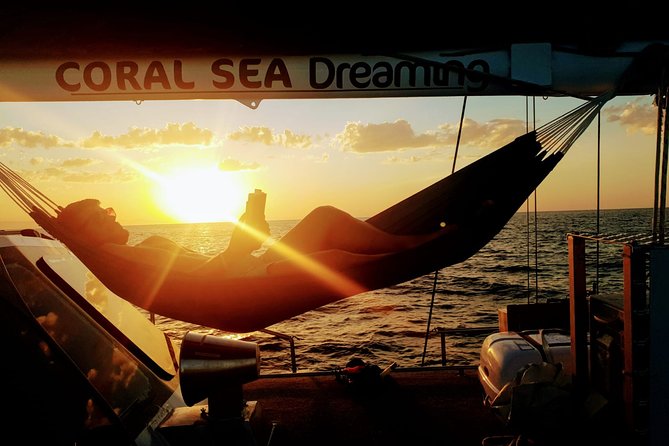 Coral Sea Dreaming Overnight Dive, Snorkel and Sail - Day two adds a new reef site and more water time