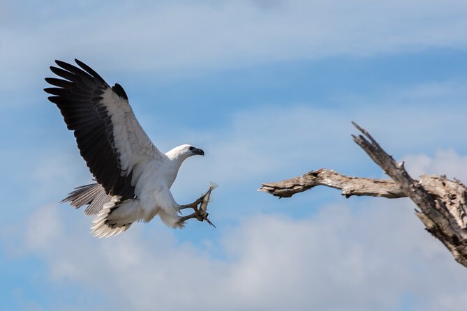 Corroboree Billabong 2.5 hour Lunch Cruise - Lunch on the boat, with the wetlands around you