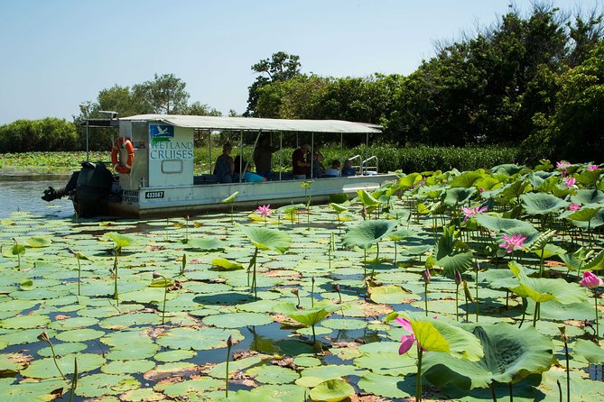 Corroboree Billabong Wetland Cruises - 1.5 hour Morning cruise - The guides shape the experience