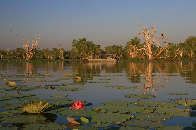 Corroboree Billabong Wetland Cruises - 2 hour Sunset Cruise - Key points at a glance