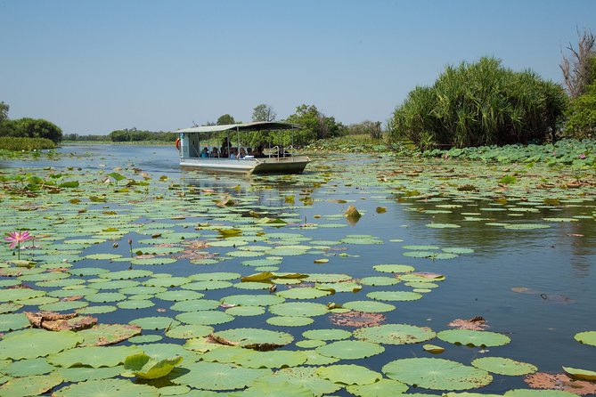 Corroboree Billabong Wetland Cruises - 2 hour Sunset Cruise - Why the sunset timing matters at Corroboree Billabong