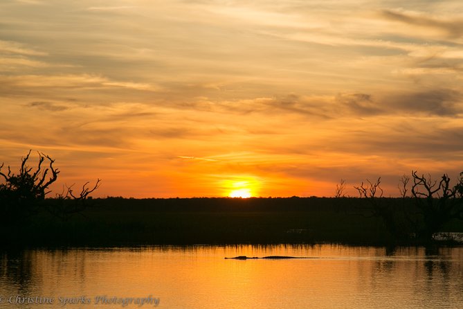 Corroboree Billabong Wetland Cruises - 2 hour Sunset Cruise - What the guides add to the experience