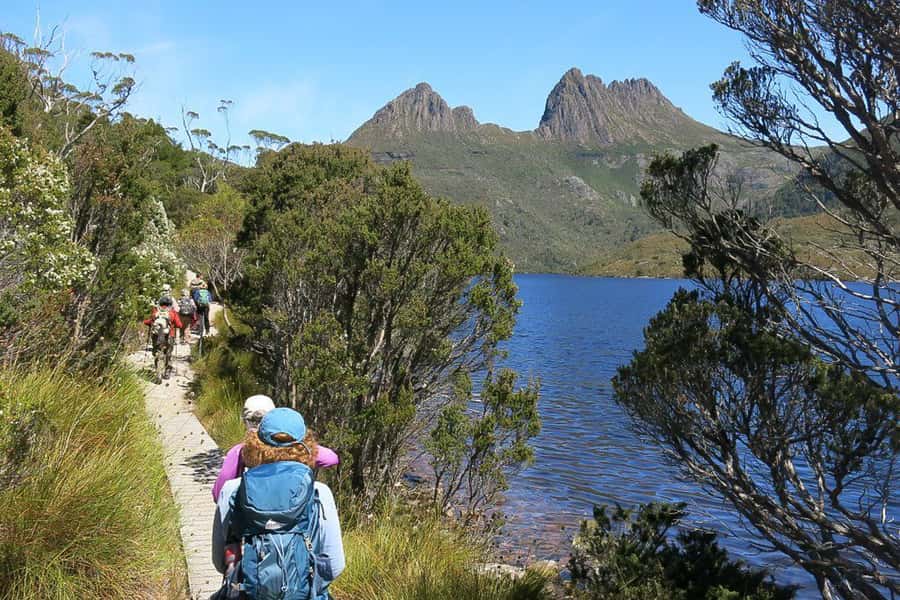 Cradle Mountain: Day Trip from Launceston with Lunch - Key points to know before booking