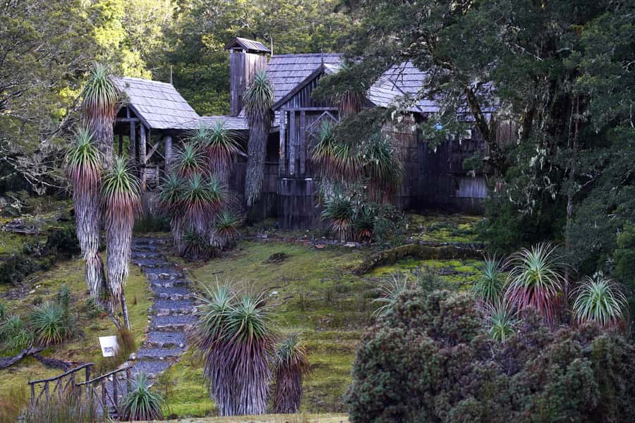 Cradle Mountain: Day Trip from Launceston with Lunch - Why this Cradle Mountain day trip works from Launceston
