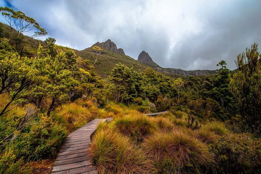Cradle Mountain: Day Trip from Launceston with Lunch - Leaving Launceston at 7:30am