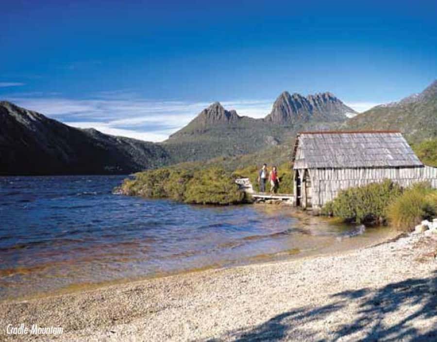 Cradle Mountain National Park by Coach from Launceston - Deloraine and Sheffield add local character