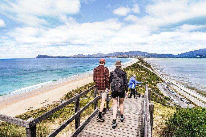 Cradle Mountain OMG! Hobart to Cradle Active Day Trip - Keep an eye out for wombats and wallabies