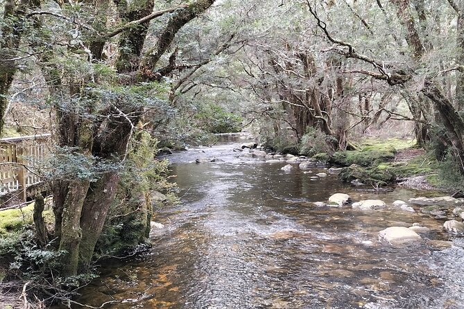 Cradle Mountain Sightseeing Tour from Devonport or Burnie - The long road from Devonport, Ulverstone, or Burnie