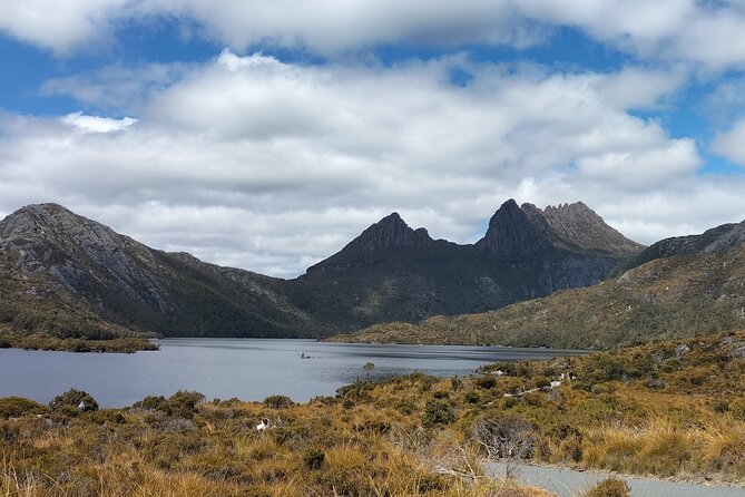 Cradle Mountain Sightseeing Tour from Devonport or Burnie - Dove Lake and the Boatshed reflection