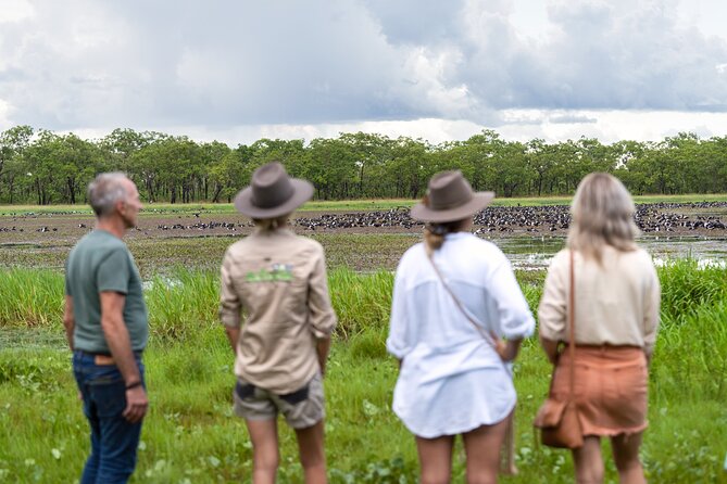 Crocodile Jumping Boat Cruise with Transfer from Darwin - The 9:00 am jumping crocodile cruise