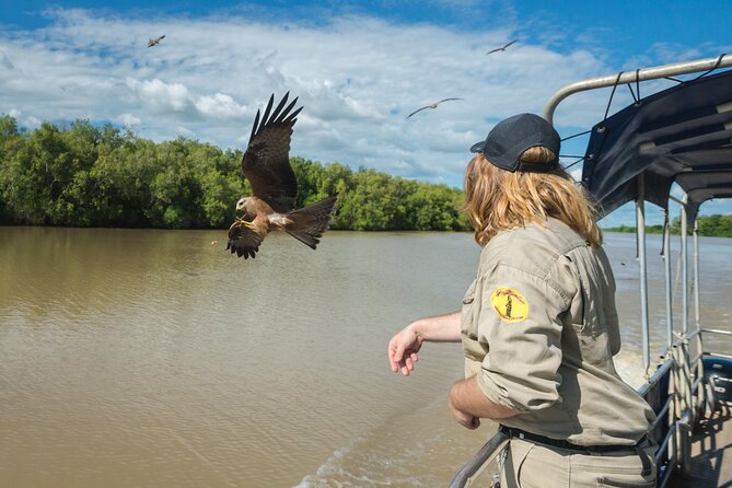 Crocodile Jumping Boat Cruise with Transfer from Darwin - Is $85.35 good value?