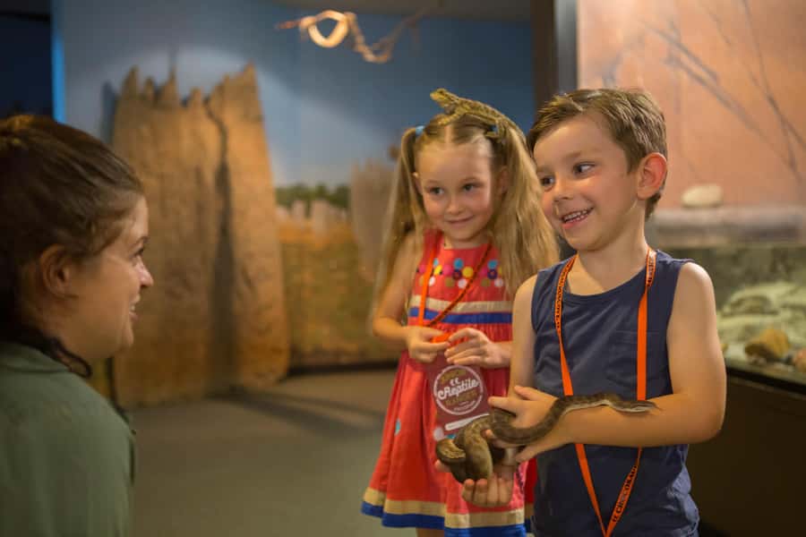 Crocosaurus Cove General Admission Ticket - Meeting the reptiles and visiting the Reptile House